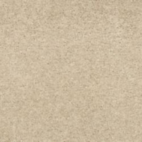 Bold Creation in Travel Buff Carpet