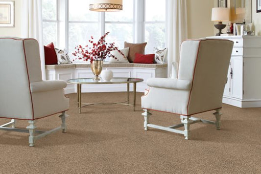 Striking Option in Nouveau Carpet