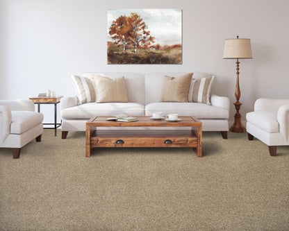 Medalist in Driftwood Carpet