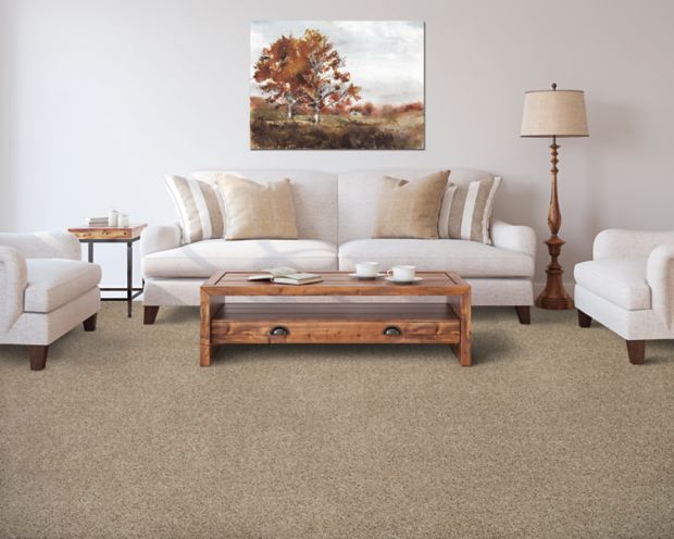Color Fusion I in Overcast Carpet