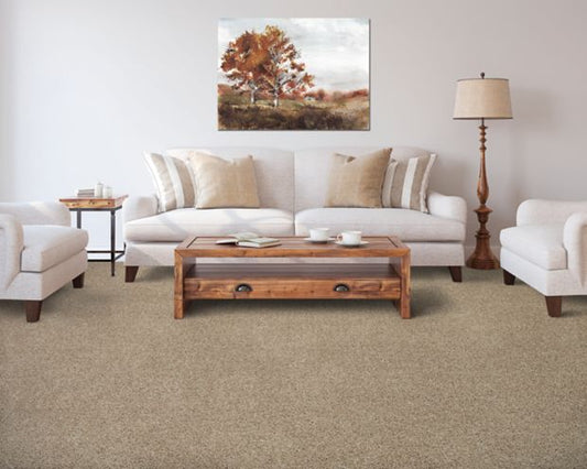 Color Fusion I in Overcast Carpet