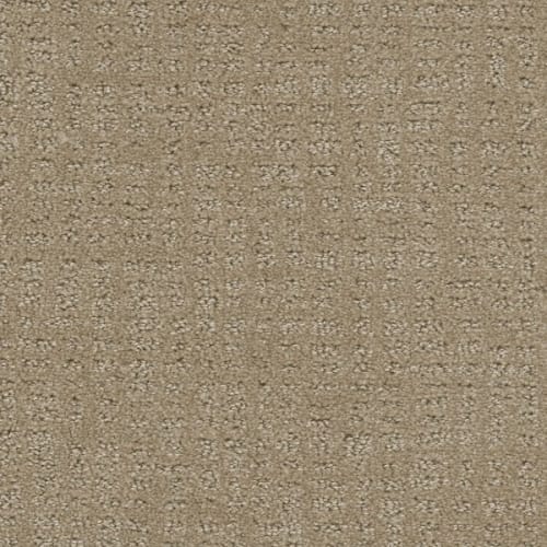 Common Ground in Warm Sand Carpet