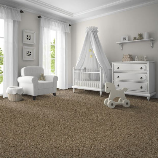 Captivating Outlook in Raleigh Carpet