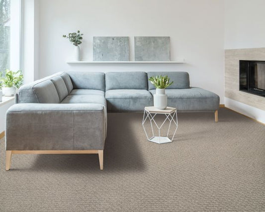 Stylish Tones in Atrium Carpet