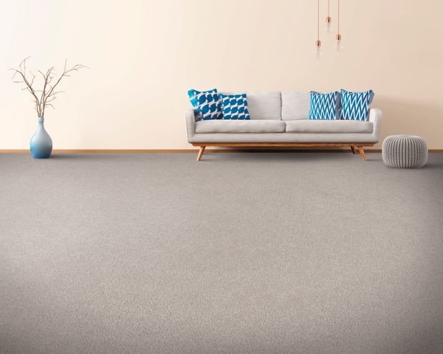 Soft Aspect in Artisan Hue Carpet