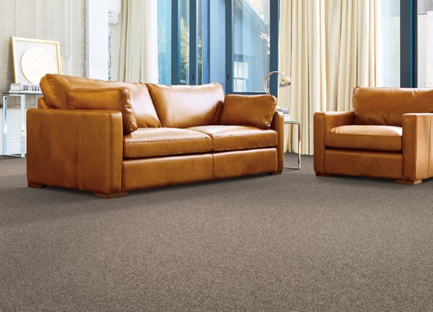 Pure Admiration in Quiet Beige Carpet