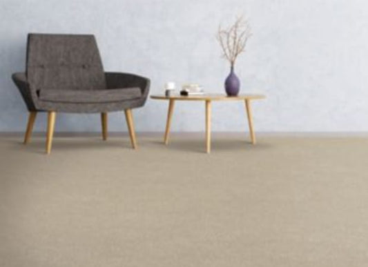 Refreshing Charm in Charm Carpet