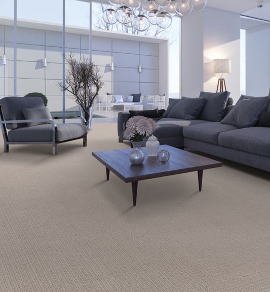 Elegant Features in Snow Carpet