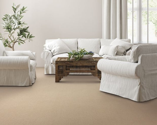 Global Perspective in Contempo Carpet
