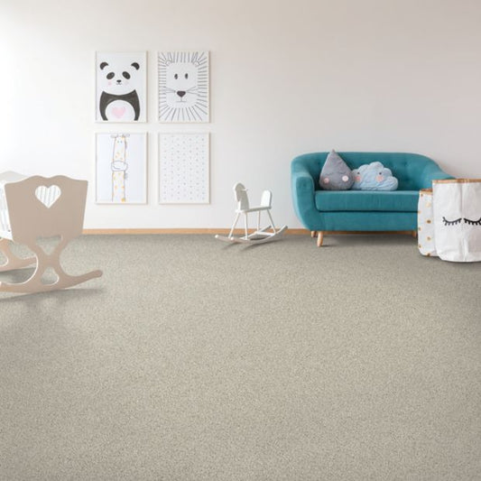 Bold Choice in Cape Cod Carpet