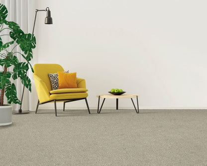 Gentle Path in Seastone Carpet