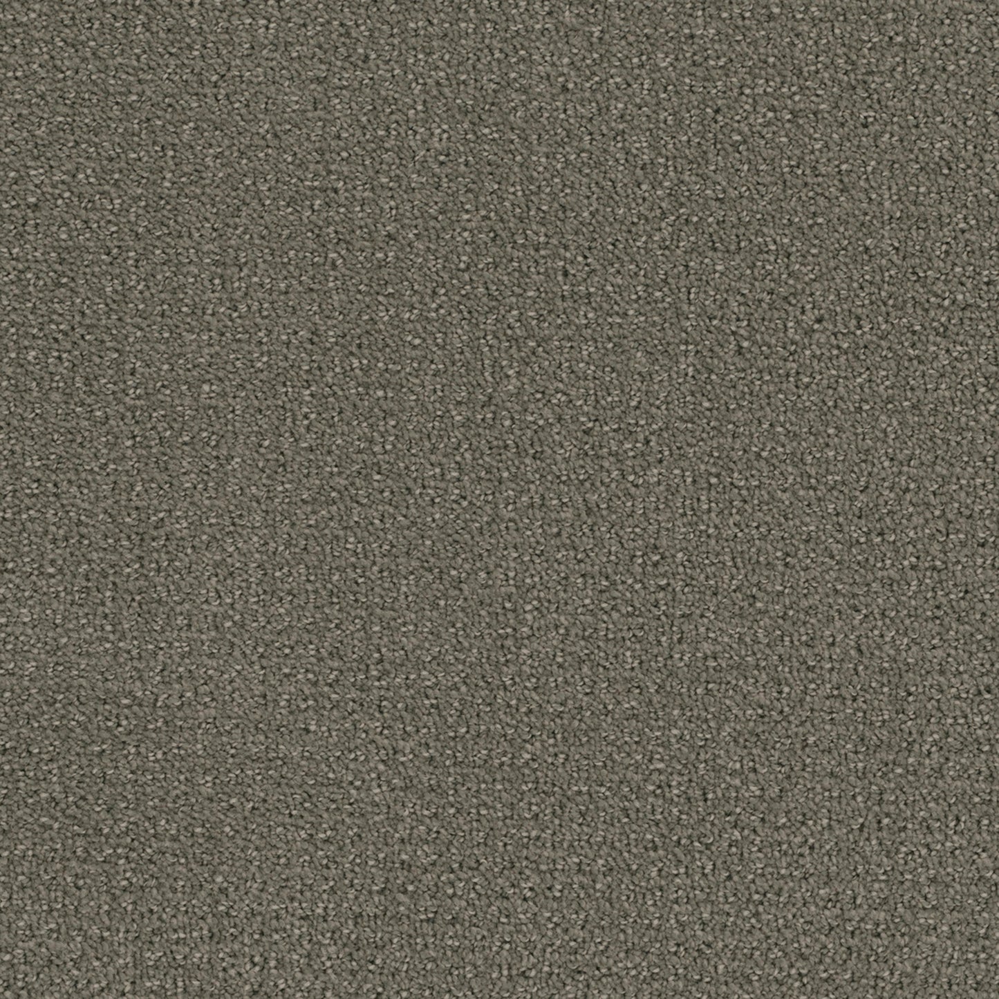 Pinpoint in Ultramarine Carpet
