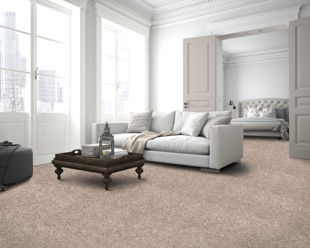Timeless Optimism in Mink Carpet