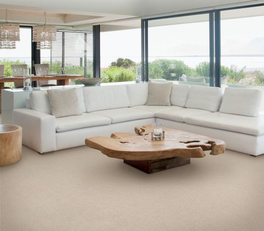 Decorative Influence in Moonrock Carpet