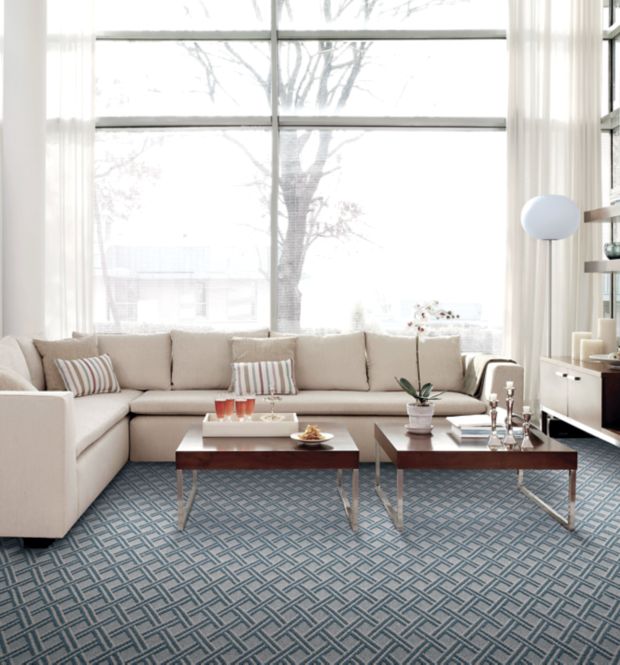 Modern Simplicity in Birdbath Carpet