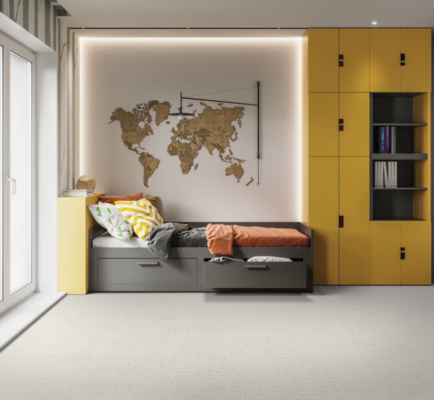 Incredible Style in Autumn Ash Carpet