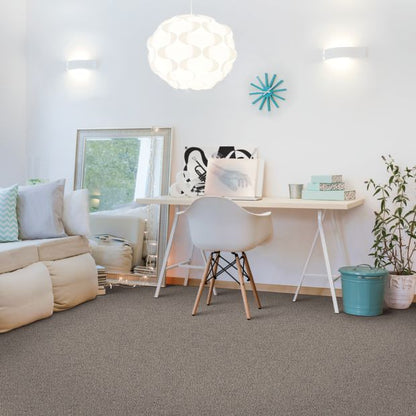 Sophisticated Tones in Taupe Whisper Carpet