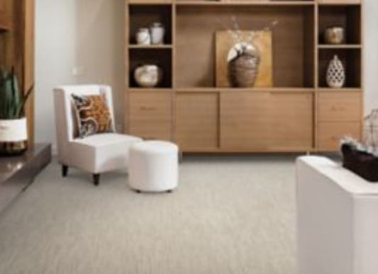Urban Hues in Willow Carpet