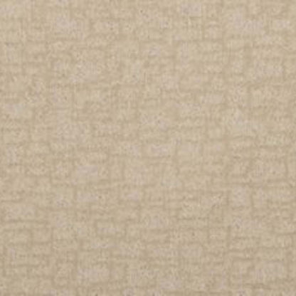 Urbane Glow in Frosted Honey Carpet