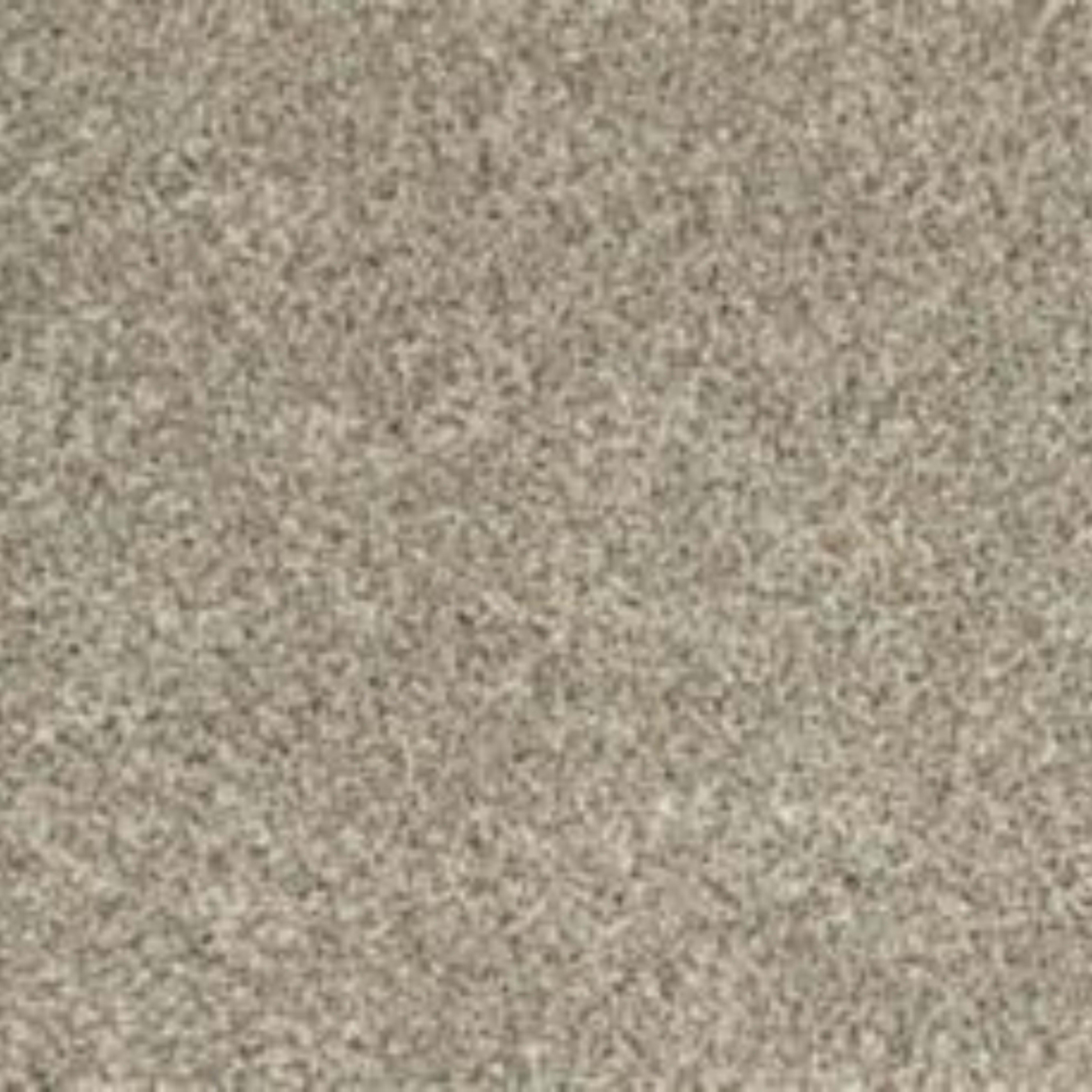 Soft Tempo I in Celtic Mist Carpet