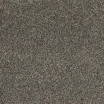 Soft Tempo II in Gravel Path Carpet