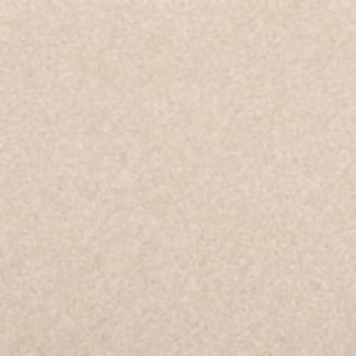 Dynamic Quality II in Sheepskin Carpet