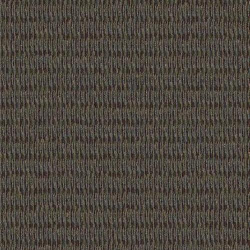 Classify in Outline Carpet