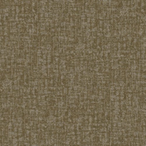 Hardingstone in T0216824e Carpet