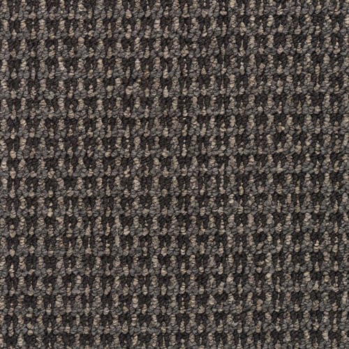 City Park II in Historical Row Carpet