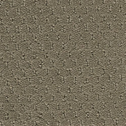 Classic Update in Mesa Taupe Carpet