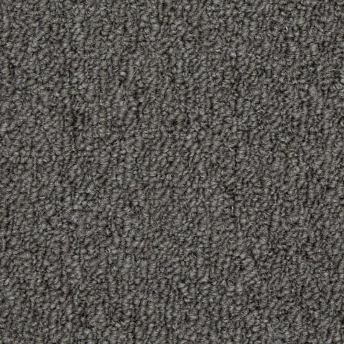 Front & Center in Pewter Carpet