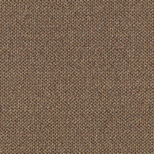 Pure & Simple in Collective Wisdom Carpet