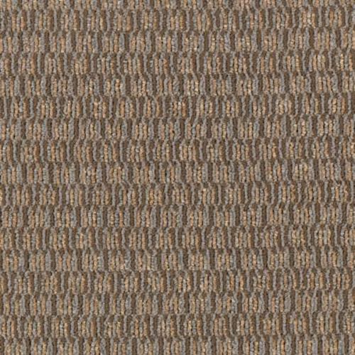 Smart & Sharp in Recharge Daily Carpet