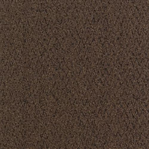 Walk Right Up in Walnut Carpet Tile