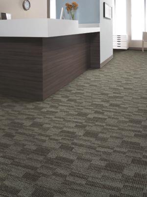 Distinctive Appeal in Classic Evolution Carpet