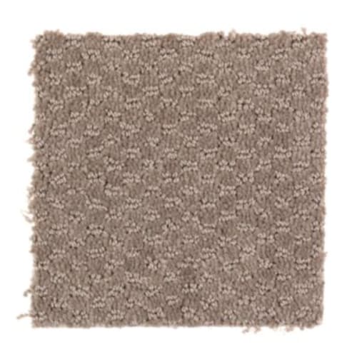 Graceful Manner in Woodchuck Carpet