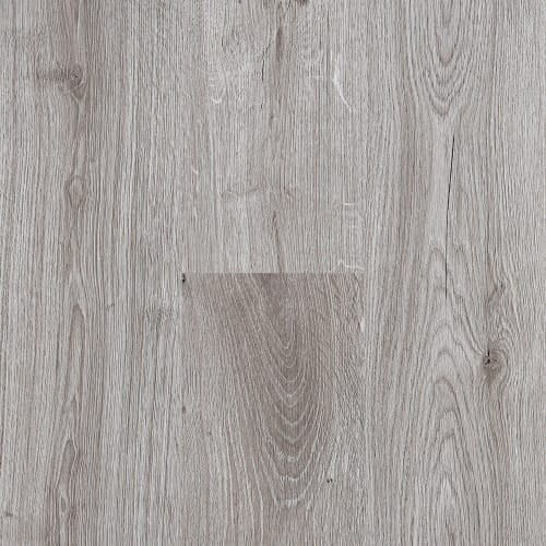 Water's Edge