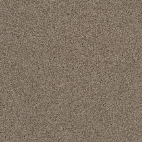 Broadcast in Ash Carpet