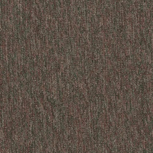Quicksilver 26 Broadloom