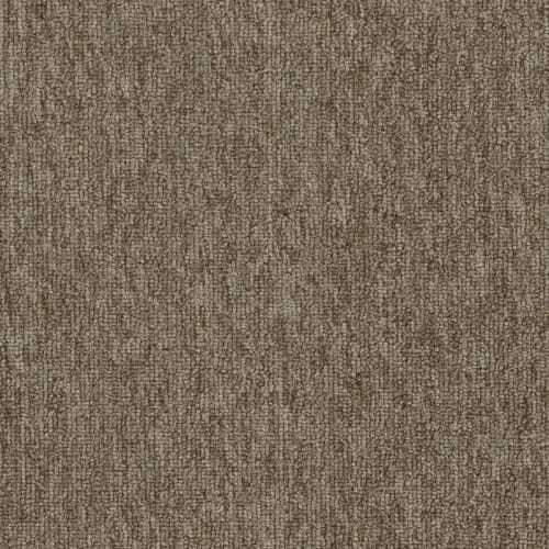 Quicksilver 26 Broadloom