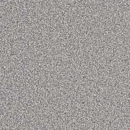 BROADCAST PLUS in Granite Peaks Carpet