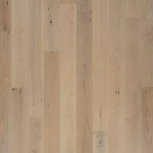 Bellacree in Smokey Taupe Maple Hardwood