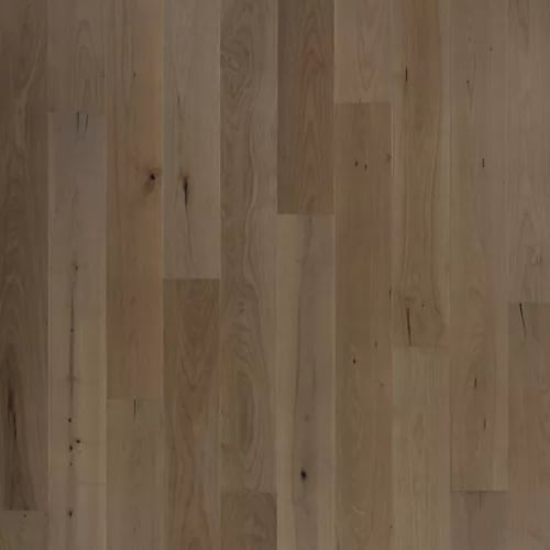Bellacree in French Gray Maple Hardwood