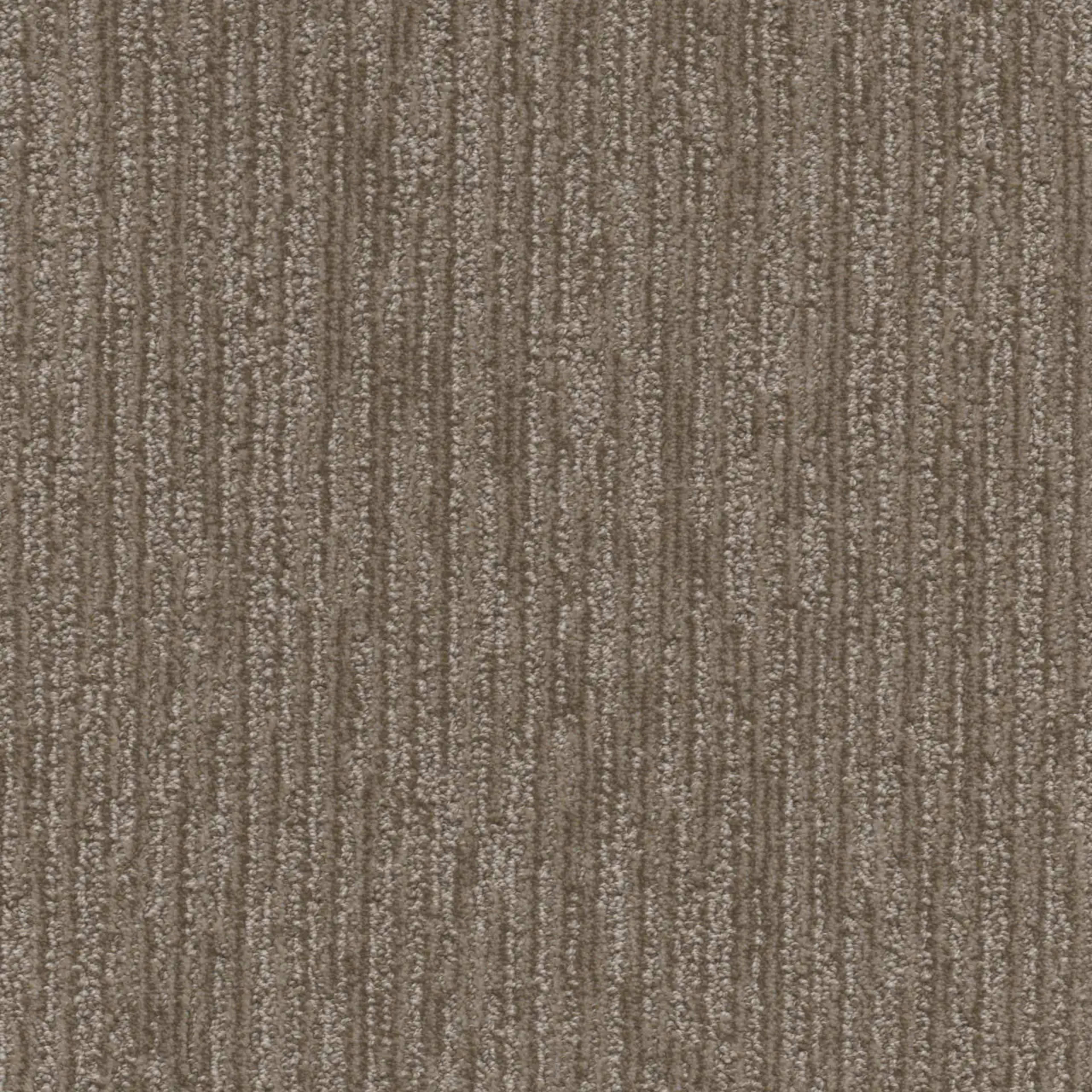 Venetian in Warm Autumn Carpet