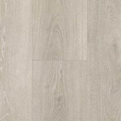 Boardwalk Collective in Silver Shadow