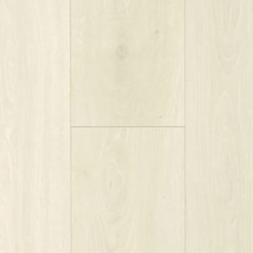 Boardwalk Collective