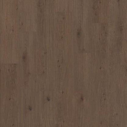 FRESH TAKE in Tuxedo Bronze