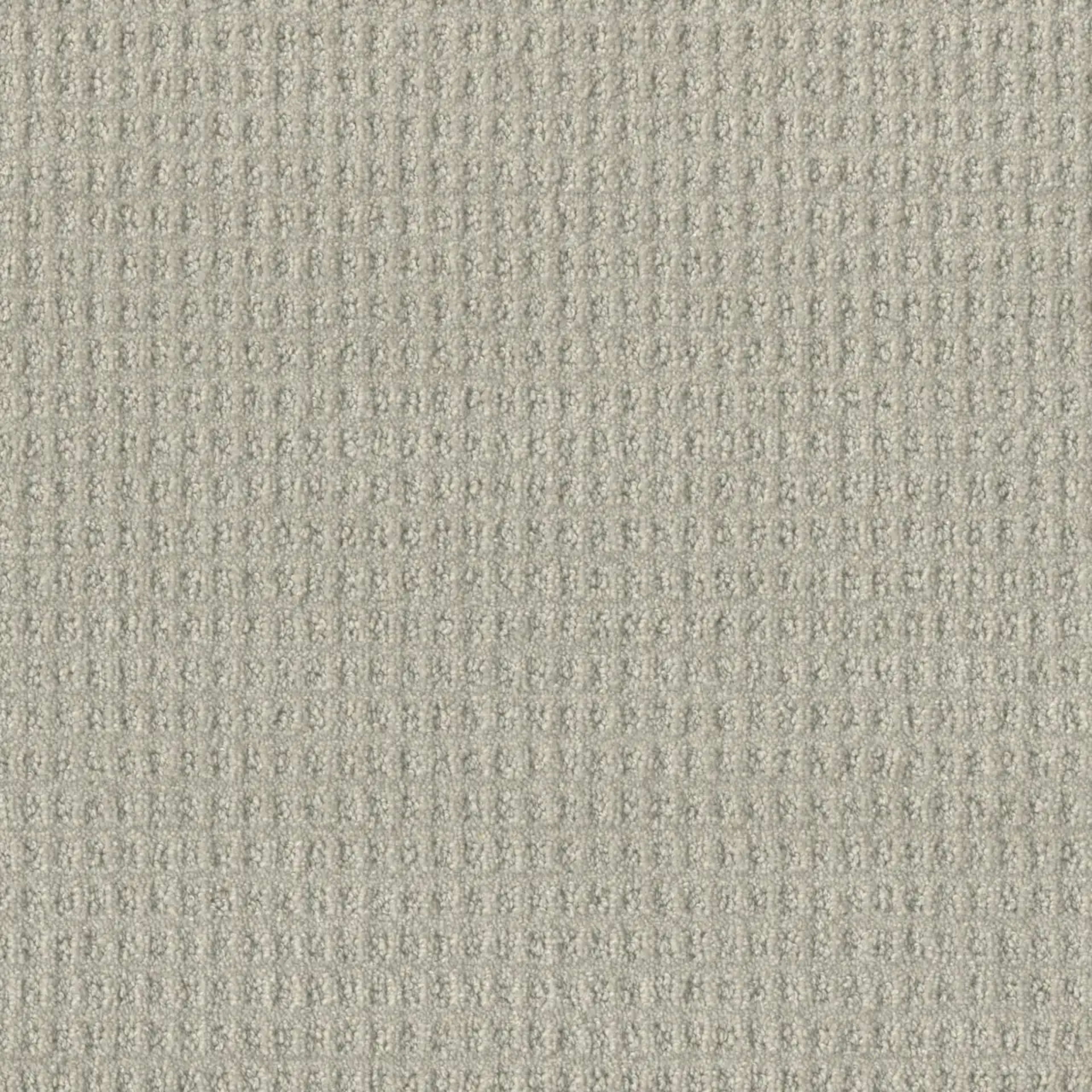 Perfect Balance in Tranquil Carpet