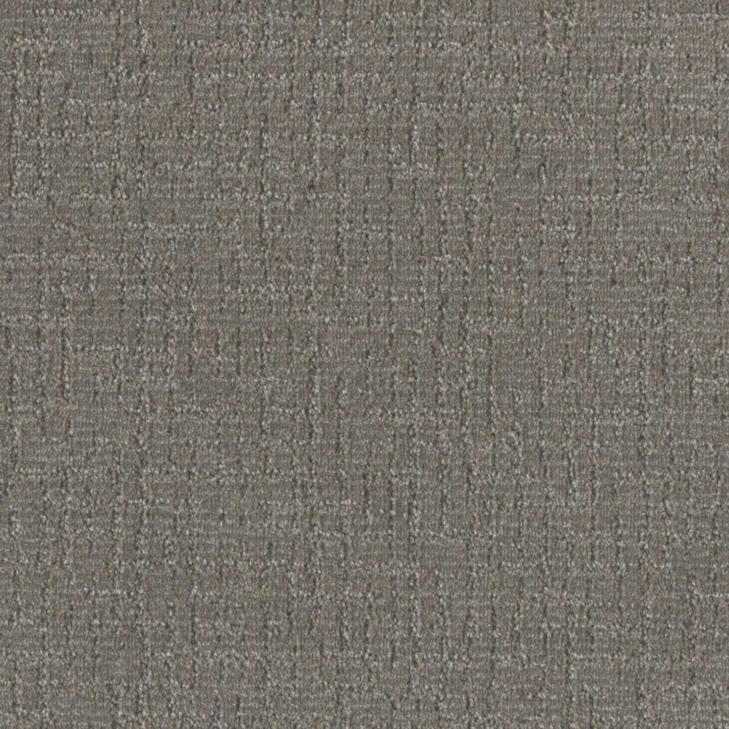 Natural Attraction in Moon Stone Carpet