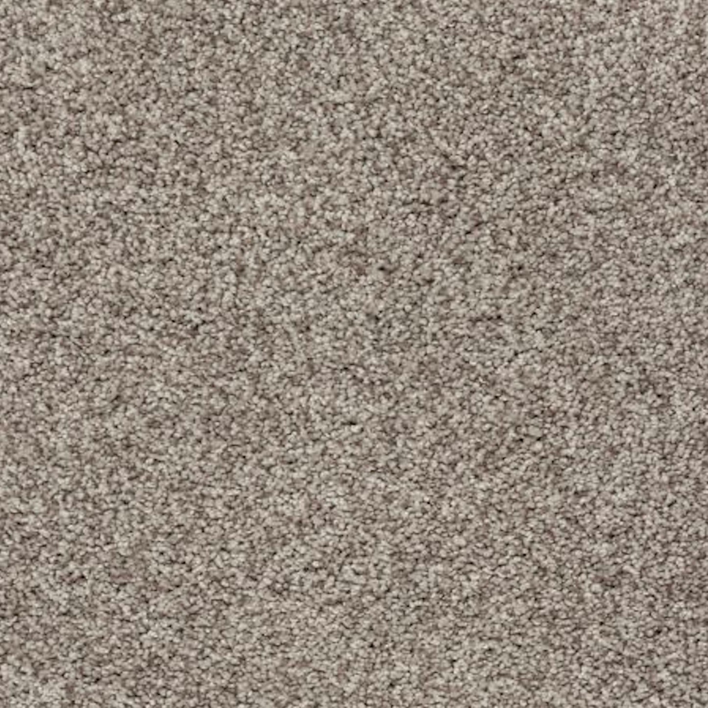 Soft Direction III in Haze Carpet